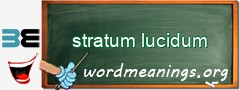 WordMeaning blackboard for stratum lucidum